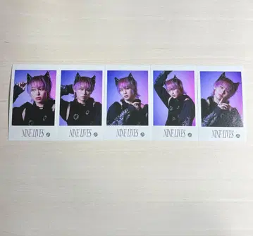 초특급 슈야 REAL? 미니 포토