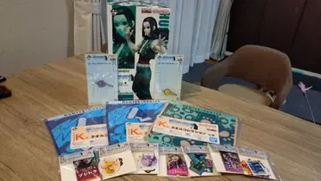 헌터헌터 피규어