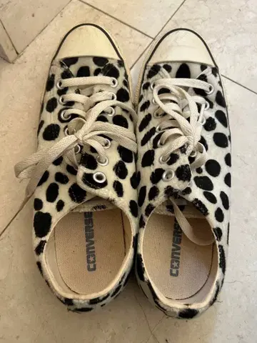 Converse All Star 달마시안 패턴 스니커즈