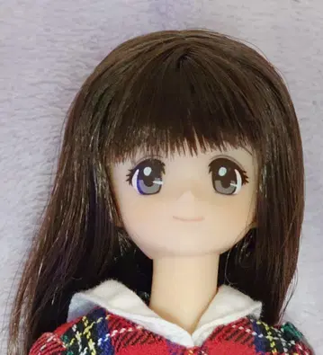 리카짱 캐슬 AG 리리안 앞머리 샤기 스트레이트 1 바디 변경 완료