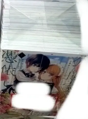 묶음 판매 공작가의 메이드에게 빙의했습니다 1~9 완결 전권