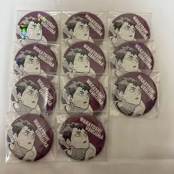 하이큐 우시지마 올스타 캔뱃지 11개