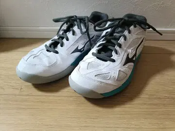 미즈노 23cm 테니스화 블레이크샷 4CS 카펫 코트용 메가로스