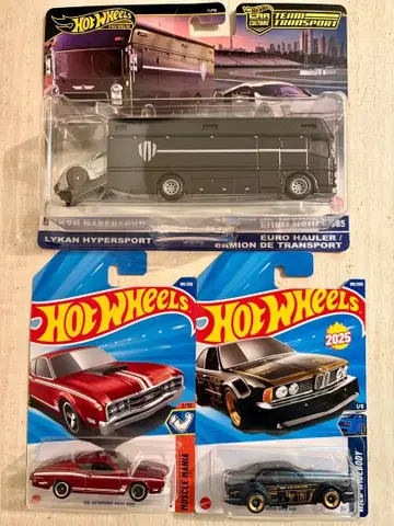 핫휠 베이직 & 트랜스포트 세트