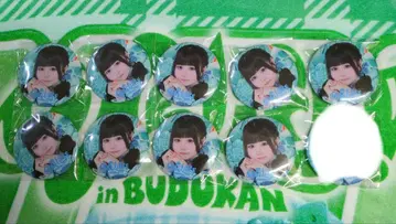 iLife 무지개 깃털 미니 캔 배지 9개 세트