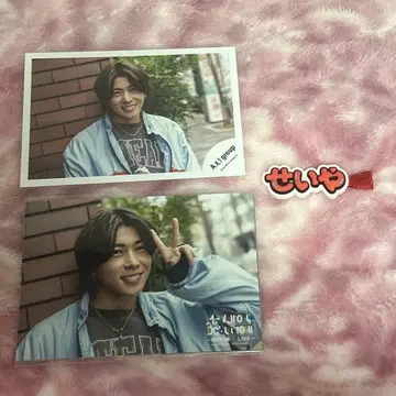 스에자와 세이야 공식 사진 포토 세트 헤어핀 3종 세트