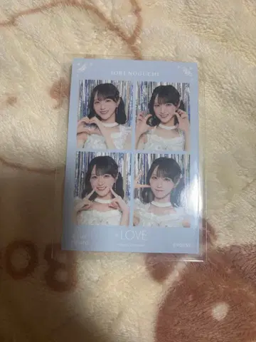 =LOVE 이코러브 노구치 이오리 4컷 사진