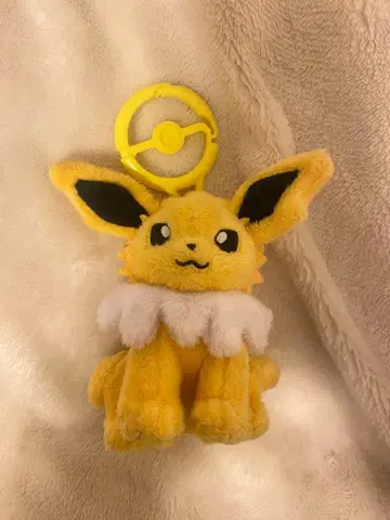 카나루비 포함 썬더스