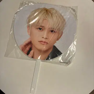 timelesz 시노즈카 다이키 공식 부채