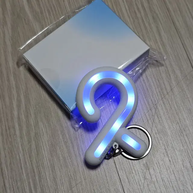 비투비 육성재 오치링 응원봉 키링