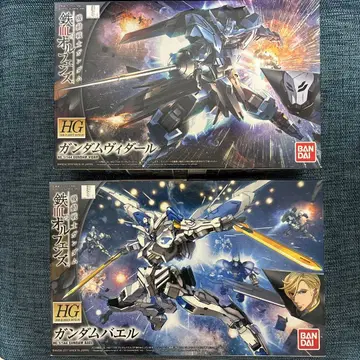 HG 건담 비다르 & 바엘 세트