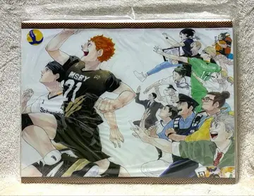 하이큐 풀컬러 BIG 아트보드 카라스노 고교 졸업생