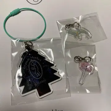 미야카와 타이세이 미야카와군 Etrarium 키링 화이트 고래 꽃