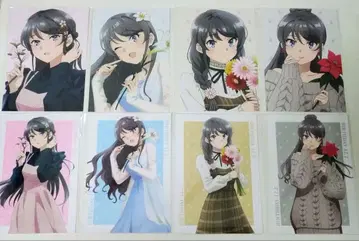 청춘 돼지 아뇨 애니메이트 페어 특전 엽서 전 6종 풀 컴프 세트