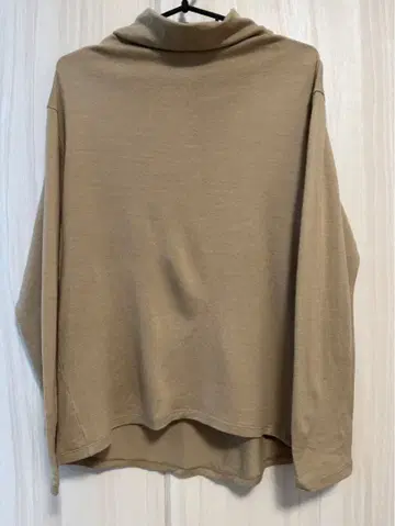 icebreaker 베이지 터틀넥