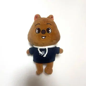 SKZOO 매직 스쿨 봉제 인형 mini 쿼카 쿠아카