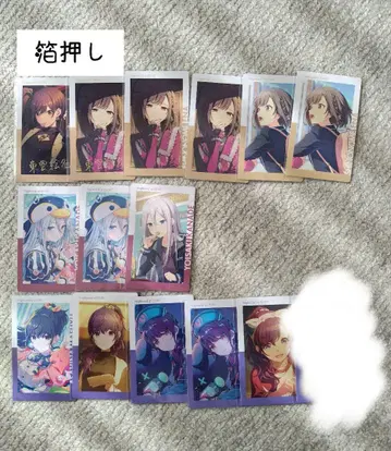 프로세카 에피카 묶음 판매