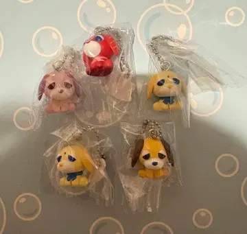 오차이누 초코 보로 5개 세트 2