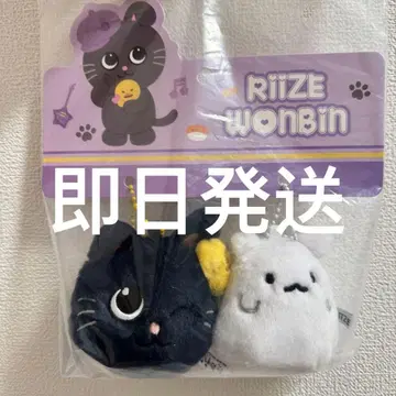 RIIZE 원빈 중국 상하이 팝업 키링