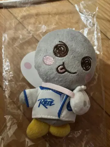 은석 송영돌 팝업