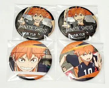 하이큐 홀로그램 캔뱃지 히나타