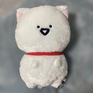 새상품 오분구와 친구들 고양이 변신 봉제 인형 XL 프리미엄