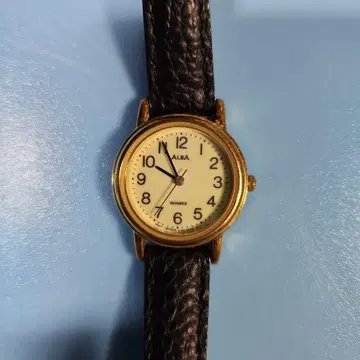 ALBA 아날로그 쿼츠 손목시계 골드/블랙