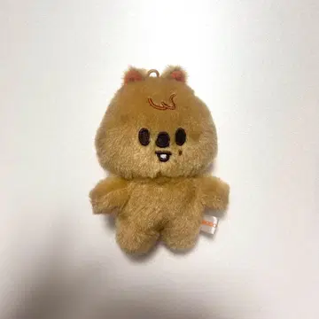 StrayKids SKZOO 한쿼카 10cm 인형