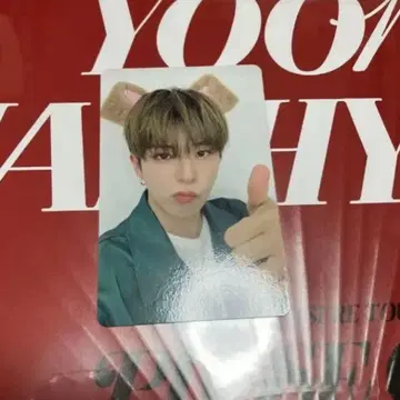 treasure 아사히 혜택 트레이딩 카드