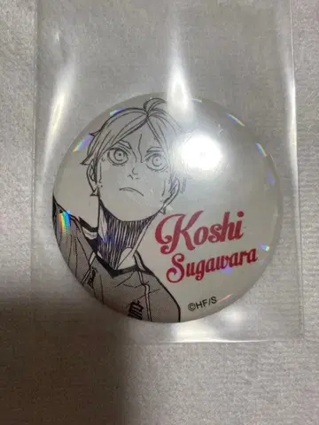 하이큐 올스타 캔뱃지 스가와라 코시