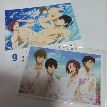 Free! 린 마코토 하루 소스케 엽서