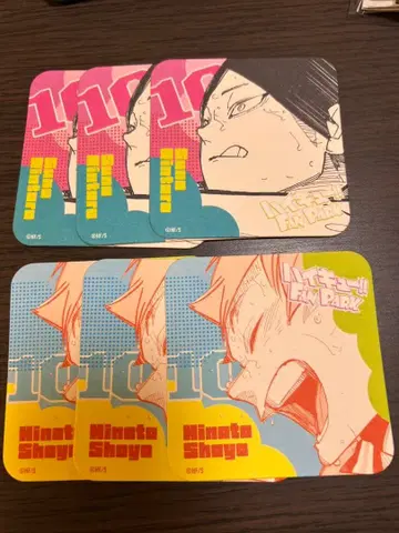 하이큐 팬파크 코스터 스나 린타로 히나타 쇼요