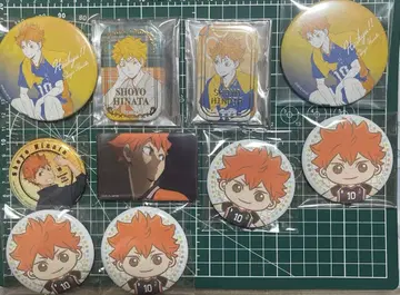 히나타 쇼요 캔뱃지 묶음 판매