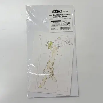 하이큐!! 원화전 원화 엽서 아오바죠사이 & 시라토리자와