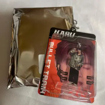 초특급 REAL 블리스터 키링 아크릴 스탠드 하루