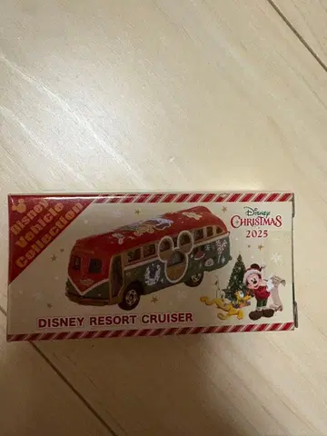 DISNEY RESORT CRUISER 2025