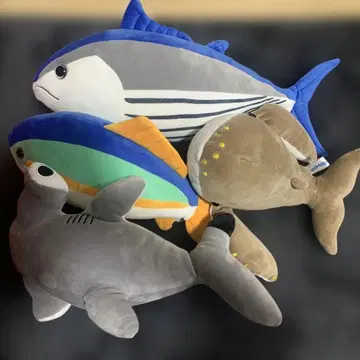 봉제 인형 무로토 폐교 수족관