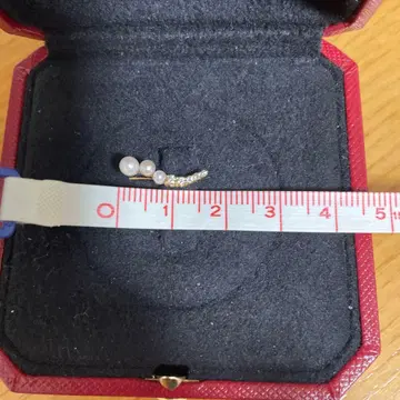 에테네카 한쪽 귀걸이