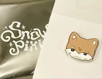 소곤 핑배지 NEXZ