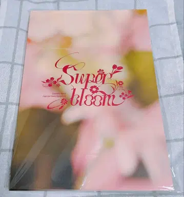 앙스타 스타포니 4th 팜플렛