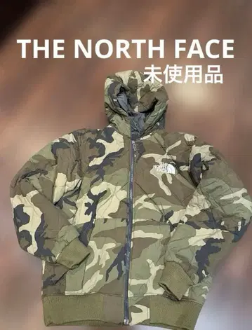 THENORTH FACE 블루종