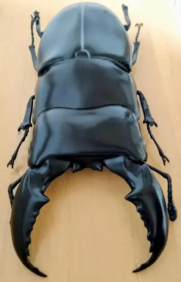 넓적사슴벌레 MEGA 피규어 곤충 사슴벌레 넓적 큰