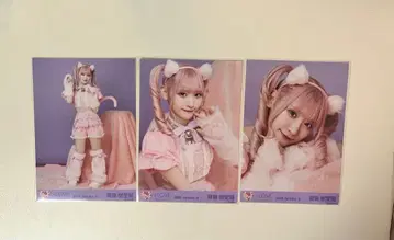 사이토 지아라 고양이 의상 브로마이드 컴프