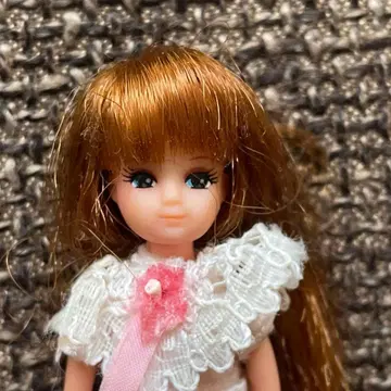 반짝반짝 세일러 타미 타카라 인형 리카짱