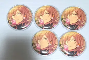 앙스타 이베콜레 셔플 캔 카오루