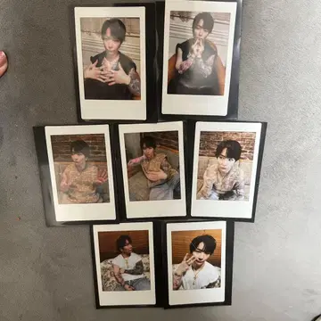 ViViD 이브 썸머 투어 폴라로이드 8장 세트 낱개 판매 가능