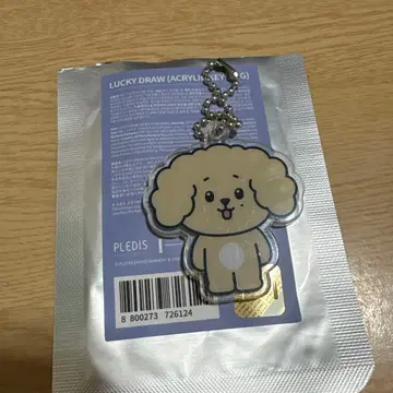 MINITEEN 아크릴 키링 도아 도겸