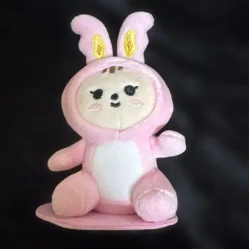 SEVENTEEN 미니틴 정한 라무 (하자품)