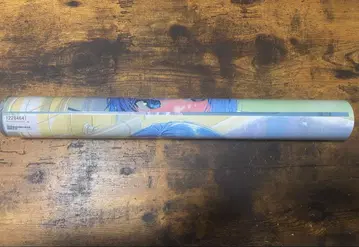 칸자린 포스터 2종