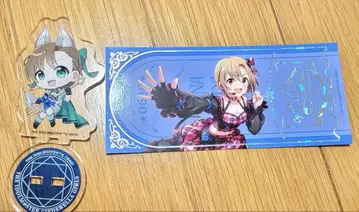 타다 리이나 애니메이트 카페 2세트